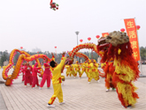 潍坊青州更好的舞狮队主办商务会议